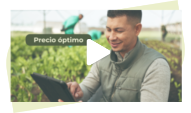 Vista previa del video